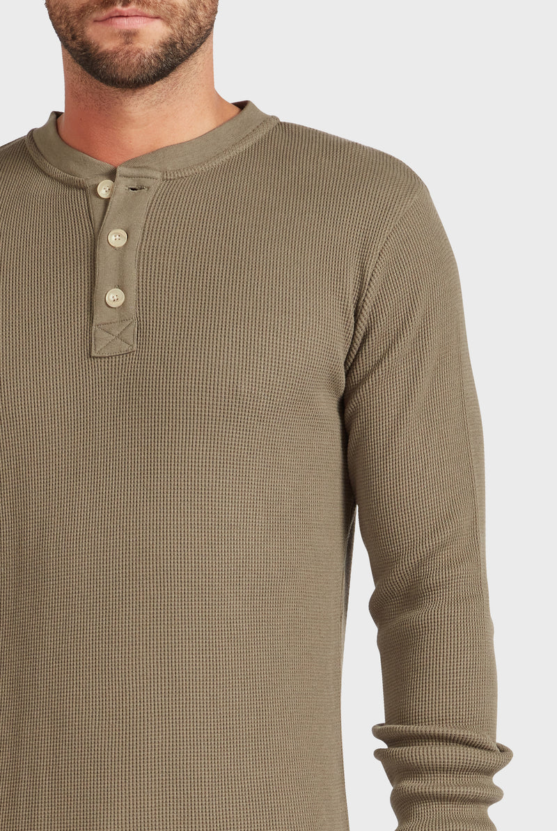 Sycamore LS Henley
